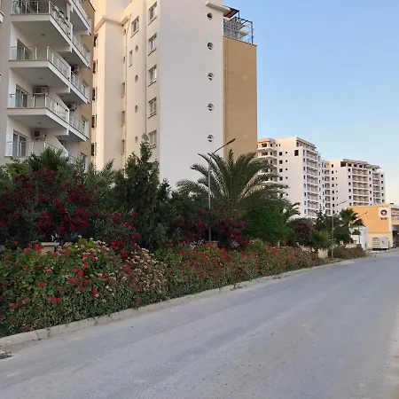 Northern Cyprus In 5-star Resort&spa,